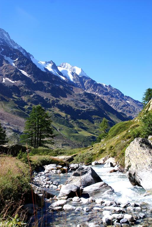Alpenhotel Zur Wildi Lauchernalp Wiler Luaran gambar