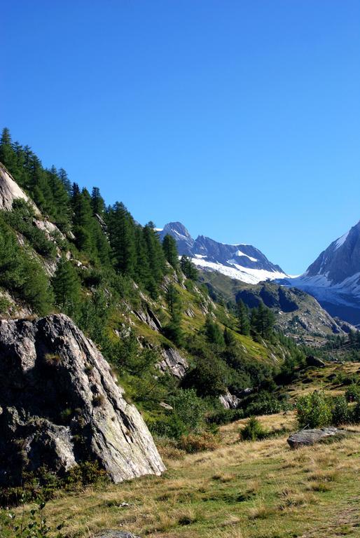 Alpenhotel Zur Wildi Lauchernalp Wiler Luaran gambar