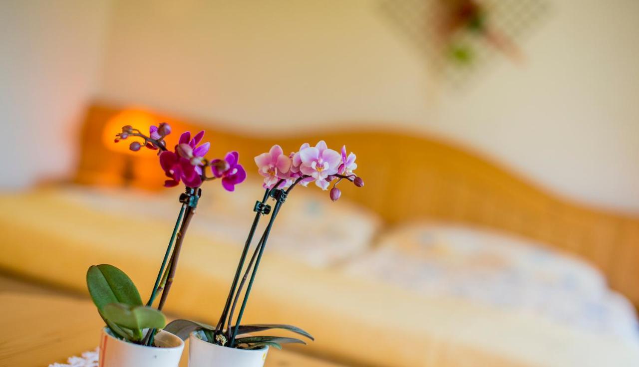 Alpenhotel Zur Wildi Lauchernalp Wiler Luaran gambar